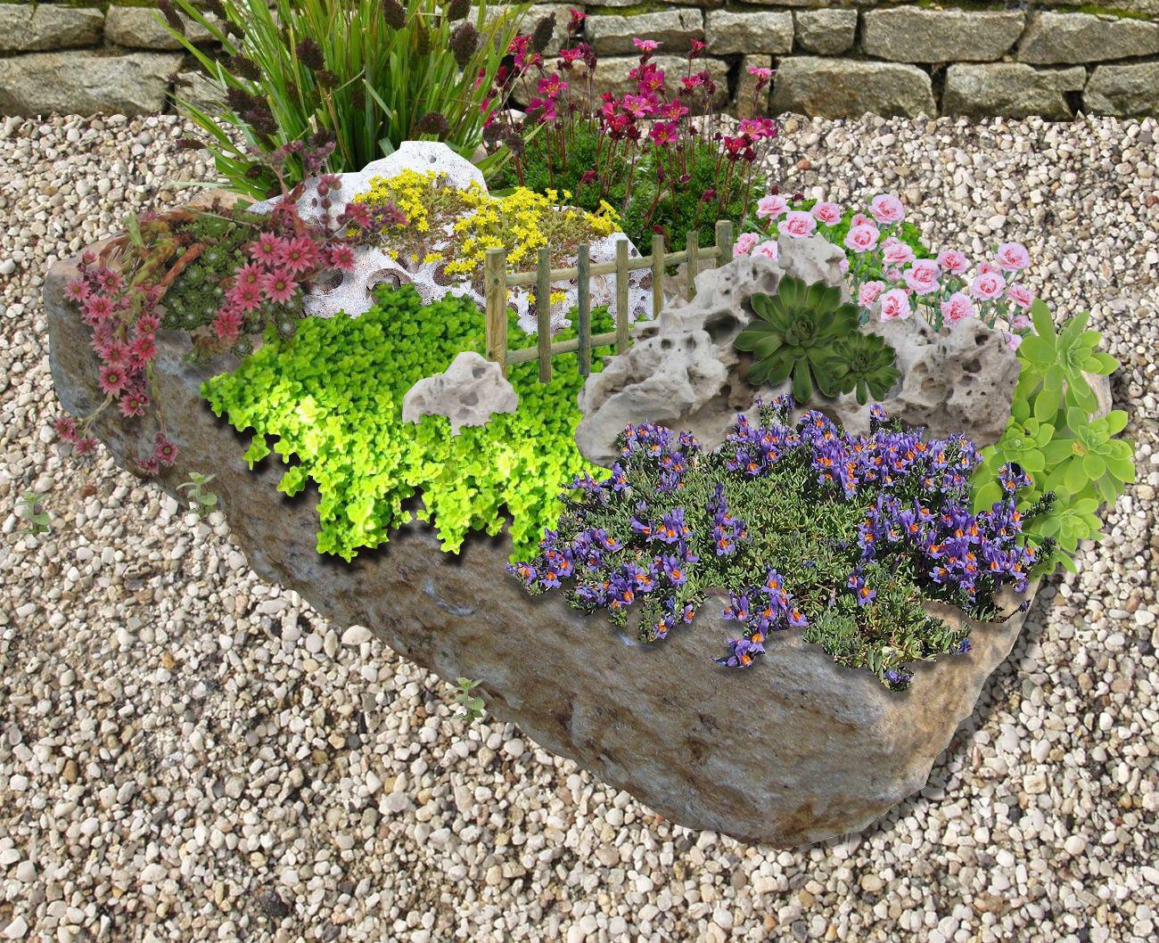 Une Rocaille En Pot Un Mini Paysage Pour Votre Balcon Ou Votre Terrasse une-rocaille-en-pot-un-mini-paysage-pour-votre-balcon-ou-votre-terrasse
